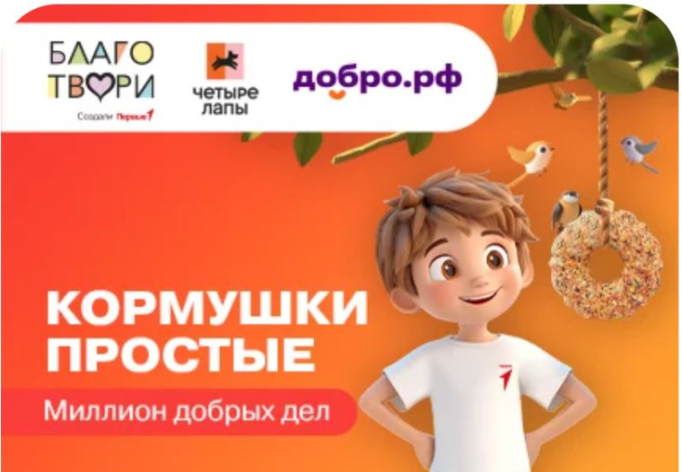 Проект «Миллион добрых дел». Акция «Кормушки простые». Орлята России..